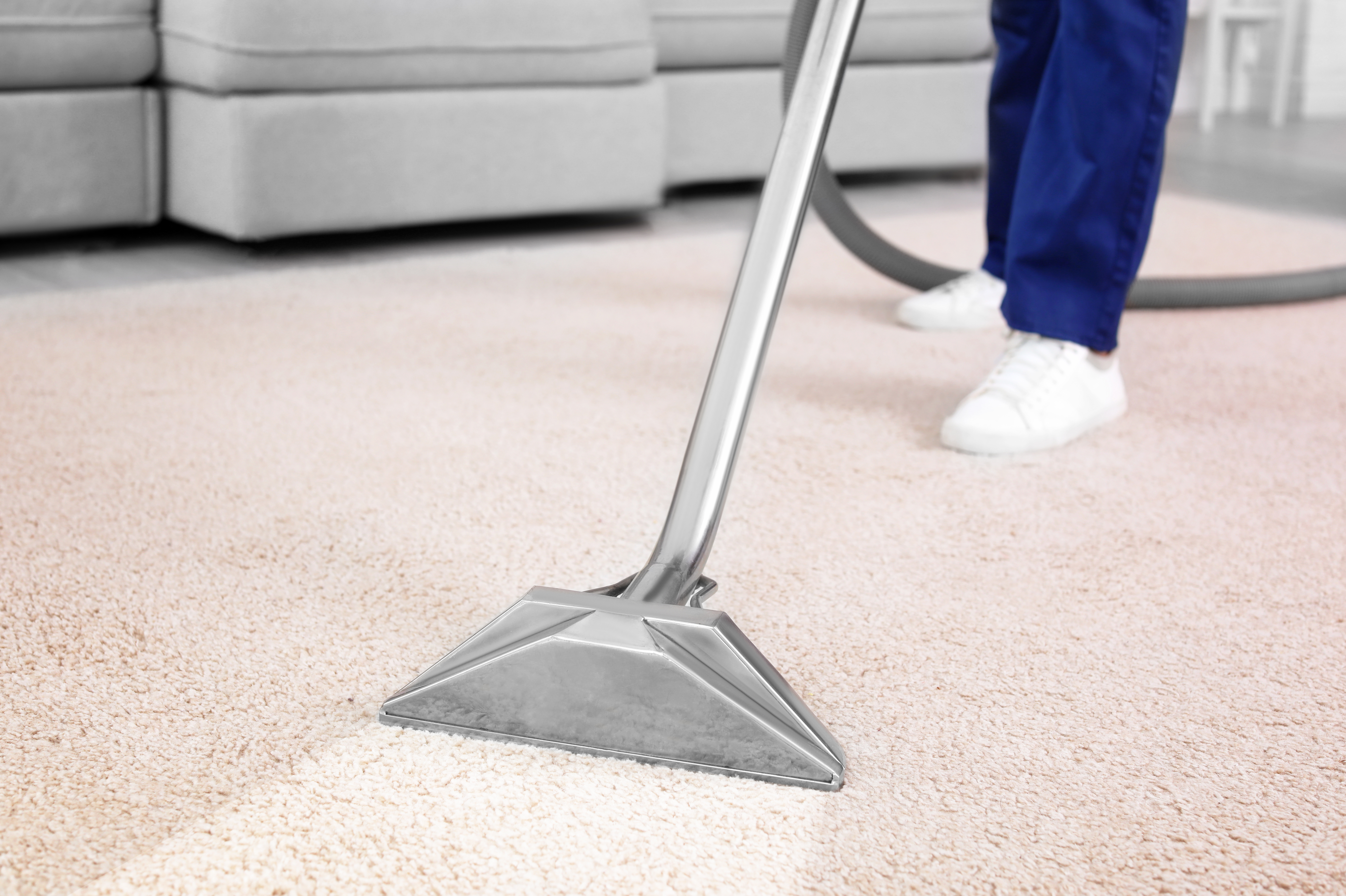 Professional carpet cleaning with triangular extraction tool on beige carpet
