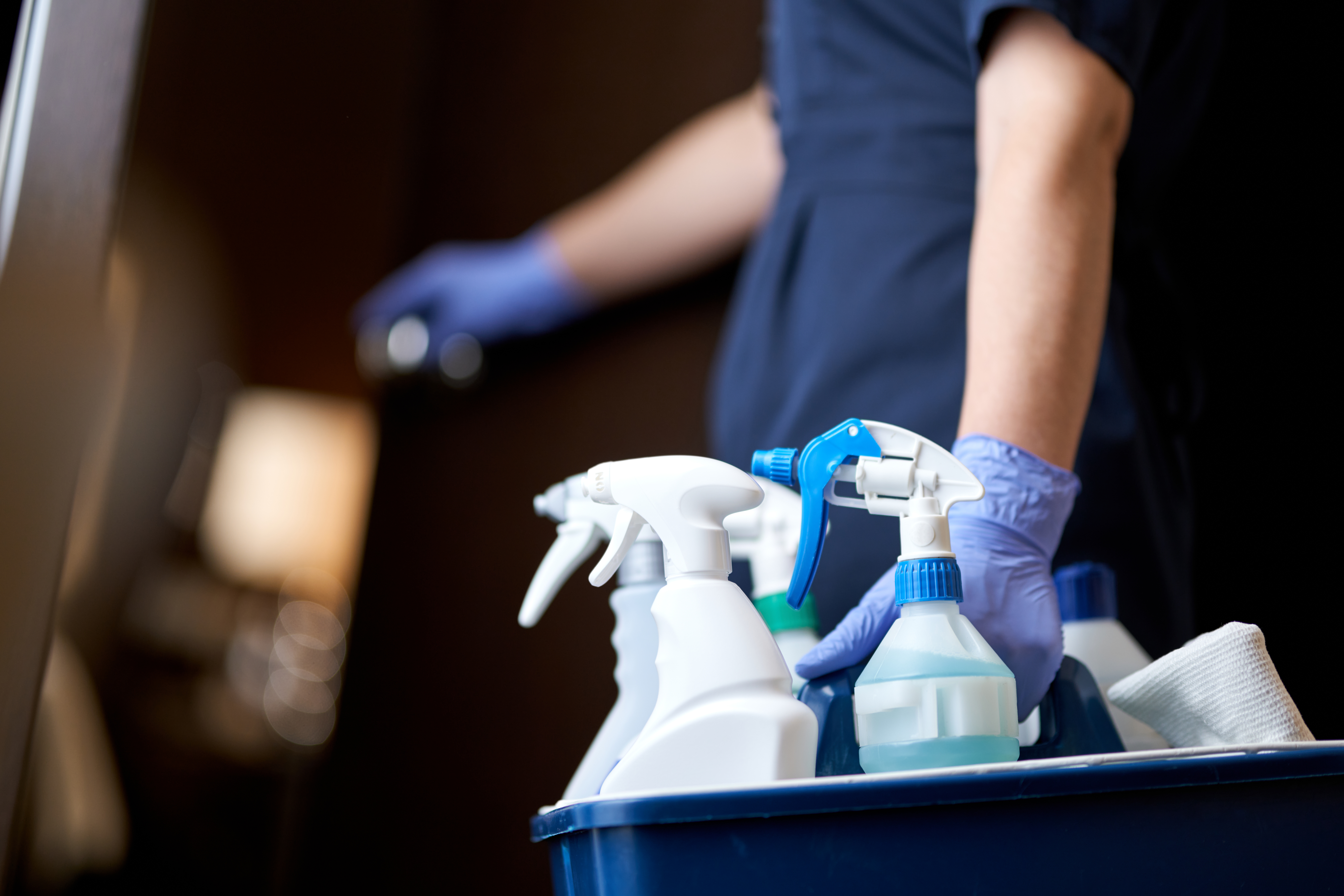 cleaning supplies — Index page